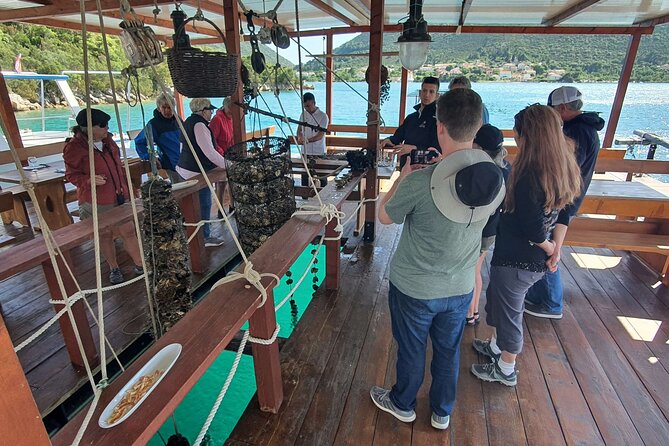 Ston Oysters & Wine Tasting Tour from Dubrovnik - Wine Tasting at Vinarija Urlin