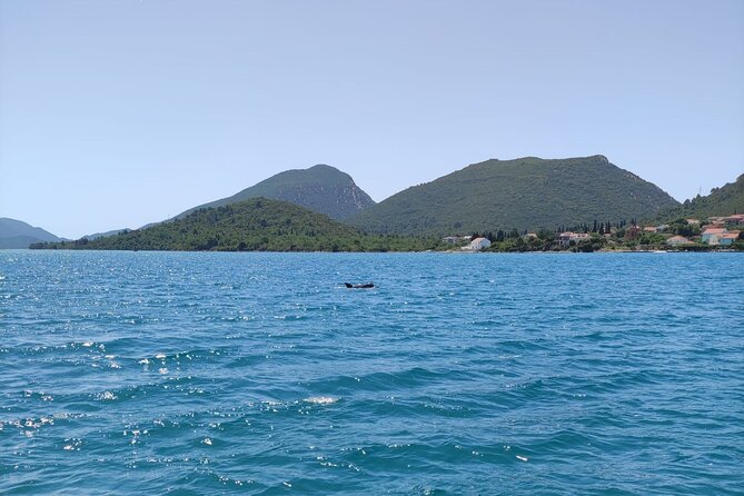 Ston Seafood & Peljea Wine Boat Tour with Oysters and Mussels - Scenic Sailing Along the Croatian Coast