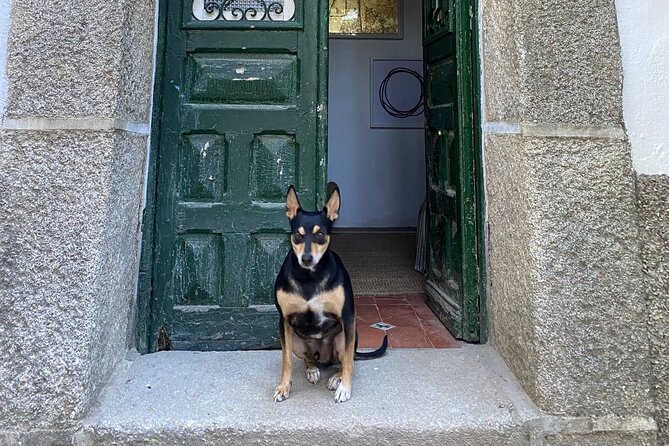 Stone Carving in Cercedilla/Madrid - Comparing with Other Madrid Experiences