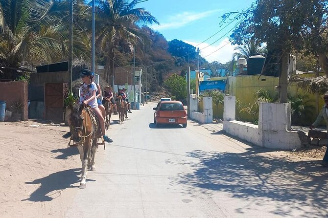 Stone Island Beach Getaway - The Beach Activities: Horseback Riding, Banana Boats, and More