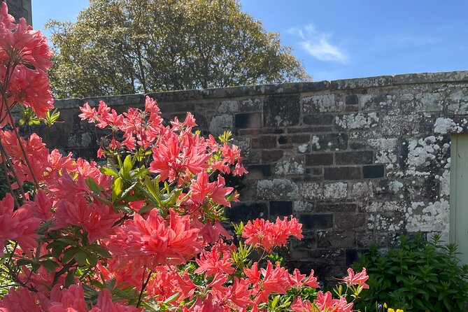 Stone & Story: Rosslyn Chapel & Melrose Abbey Private Day Trip - Convenient Logistics and Personalization