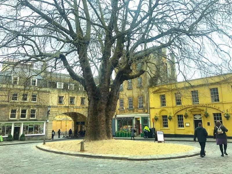 Stonehenge, Bath, Windsor and Roman Baths London Day Tours - Practical Details and Ticket Options