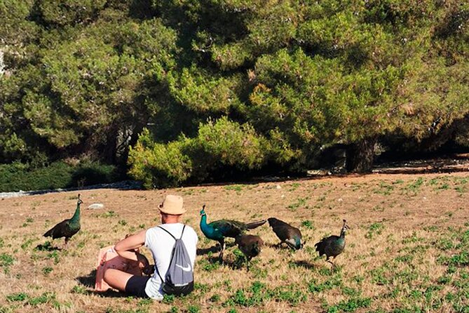 Stop on Island & National Park Day Cruise with Lunch Drinks - The Guide and Onboard Experience