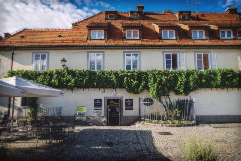 Stories and Tastes of Maribor: City Tour with Wine Tasting - Who Will Enjoy This Tour Most?