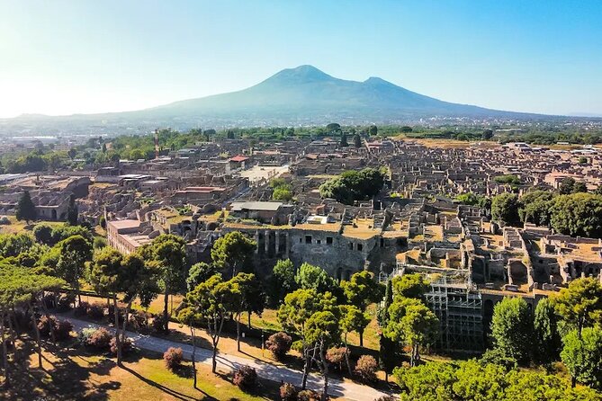 Stories of Pompeii: Small Group tour with archeology expert guide - Flexibility and Booking Considerations