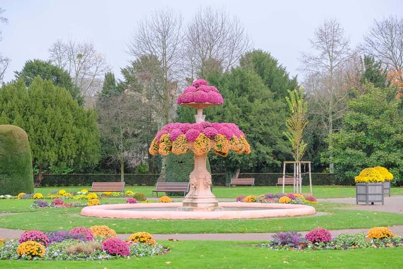 Strasbourg: 1.5-Hour Guided Segway Tour - Glide Along Strasbourg’s Riverside Trails
