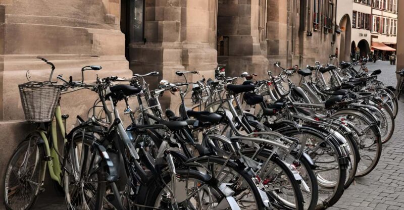 Strasbourg: Bike rental for 1 day - Practical and Safe Cycling in Strasbourg