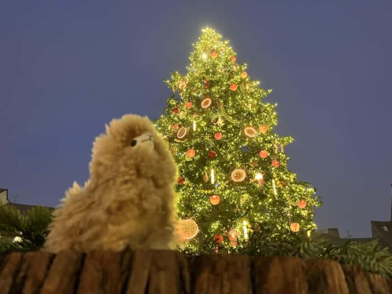 Strasbourg: Christmas Walking Tour with Mulled Wine - Key Points