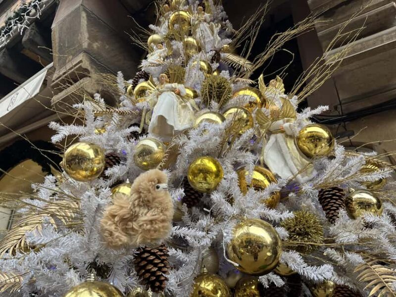 Strasbourg: Christmas Walking Tour with Mulled Wine - Strasbourg’s Christmas Markets: A Historical and Festive Journey