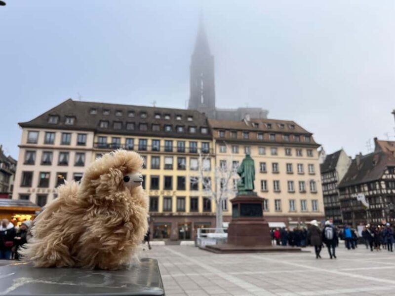 Strasbourg: Christmas Walking Tour with Mulled Wine - Seasonal Treats: Mulled Wine and Hot Chocolate Tasting