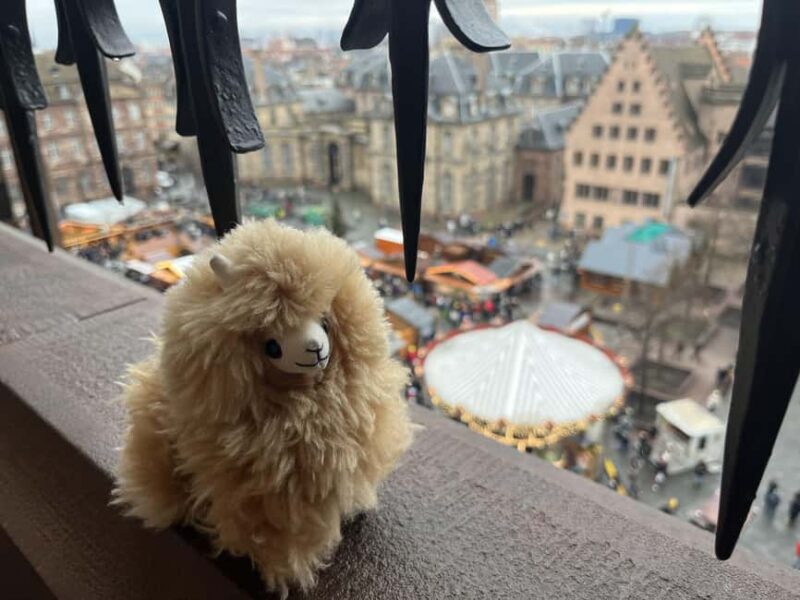 Strasbourg: Christmas Walking Tour with Mulled Wine - Frequently Asked Questions