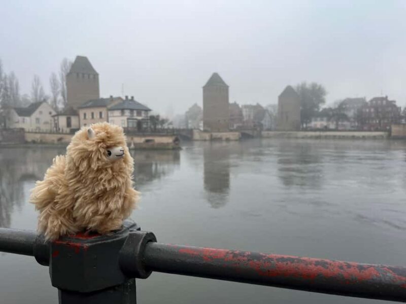 Strasbourg: Colmar, Villages & Castle Private Day Trip - Key Points