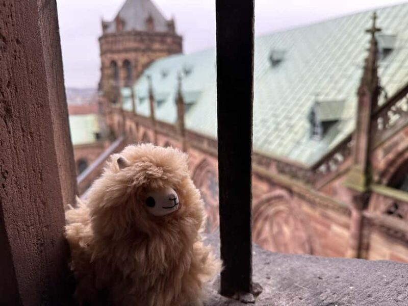 Strasbourg: Colmar, Villages & Castle Private Day Trip - Riquewihr: The Fortified Village with Vineyard Views