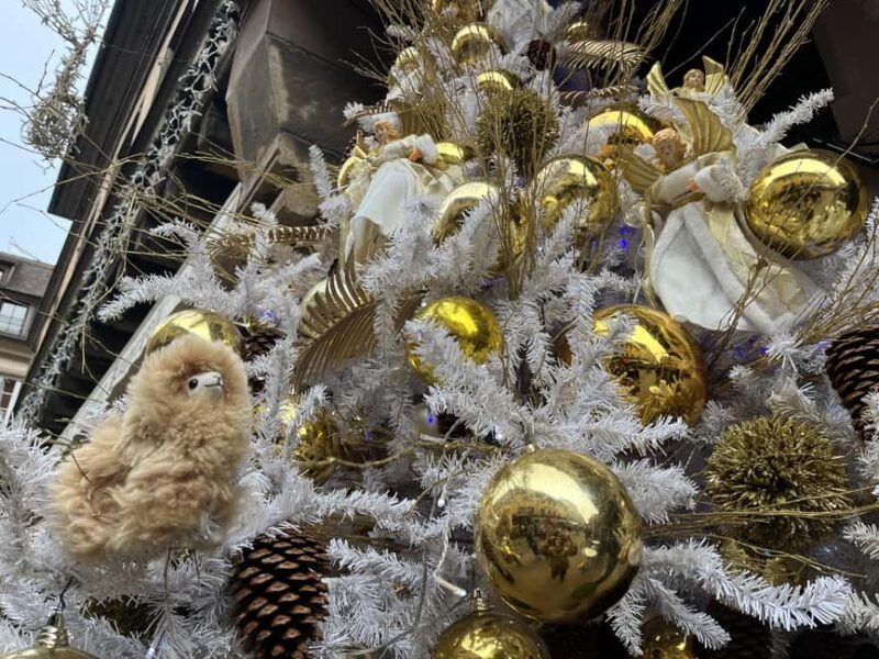 Strasbourg: Colmar, Villages & Castle Private Day Trip - Accessibility and Practical Tips