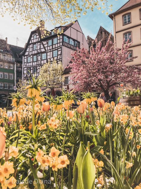 Strasbourg: Gastronomic and Walking Tour in the Old Town - Key Points