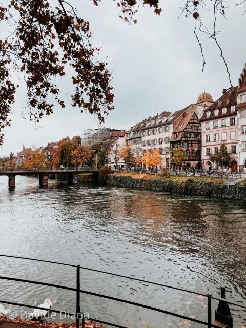 Strasbourg: Gastronomic and Walking Tour in the Old Town - Cheese Tasting at a Cozy City Center Shop