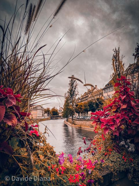 Strasbourg: Gastronomic and Walking Tour in the Old Town - The Route and Pacing of the Tour