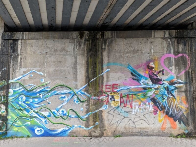 Strasbourg : Street-Art Tour - The Artistic Techniques and Styles Featured in Strasbourg