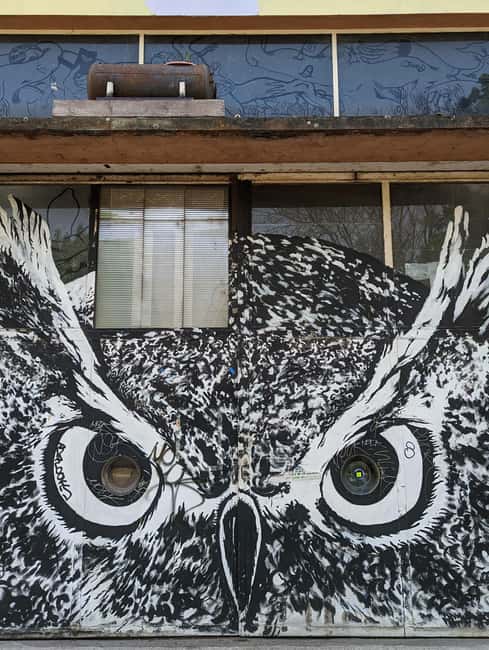 Strasbourg : Street-Art Tour - Why This Tour Has Received Perfect Ratings