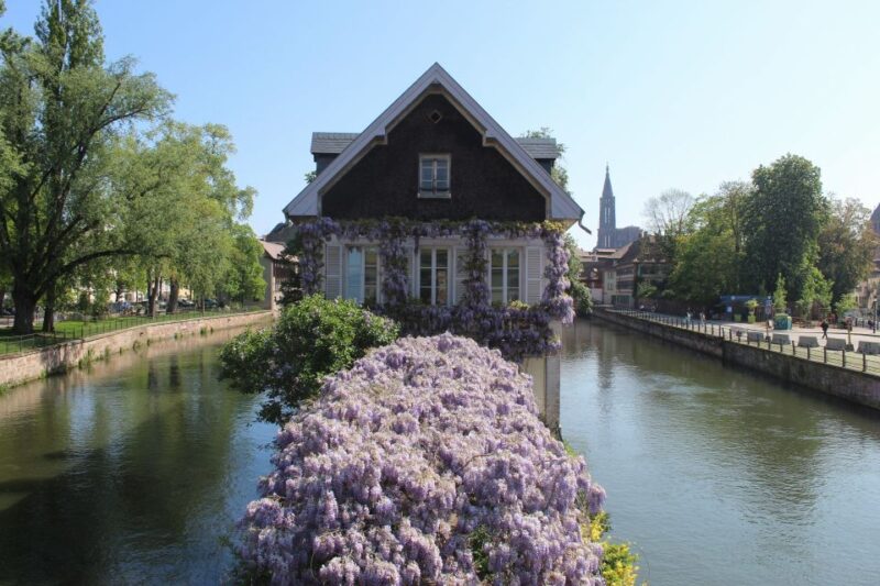 Strasbourg: Walking Tour with Local Guide - Discover Strasbourg’s Highlights with a Local Guide