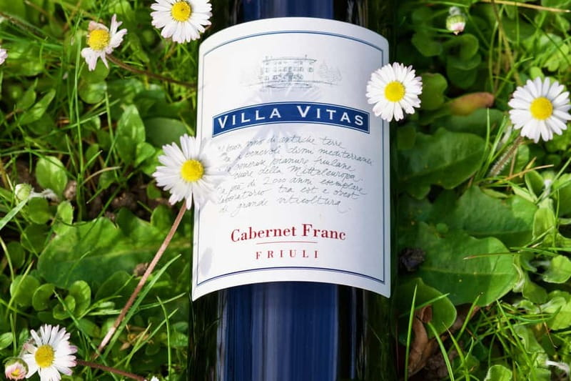 Strassoldo: Winery Tour and Tasting with the Owner - The Personal Touch of the Owner as Guide