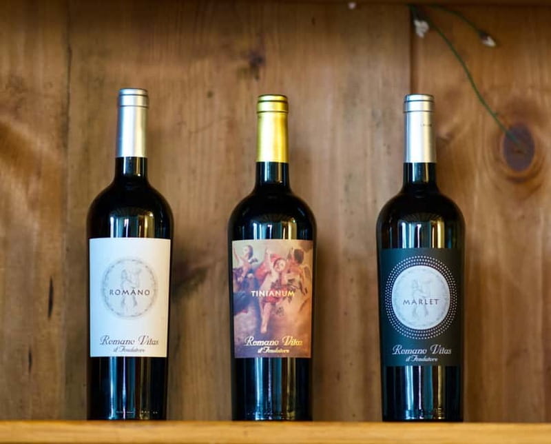 Strassoldo: Winery Tour and Tasting with the Owner - Logistics: Meeting Point and Group Size