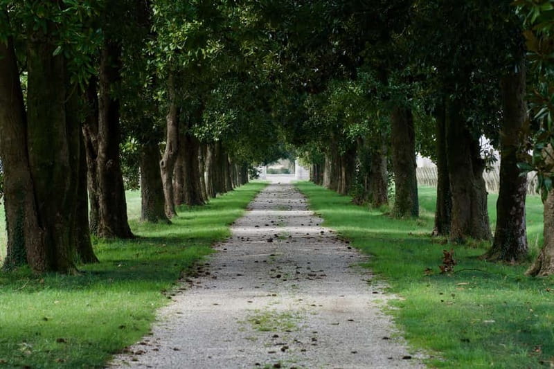 Strassoldo: Winery Tour and Tasting with the Owner - Accessibility and Practical Details