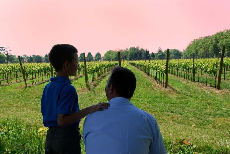 Strassoldo: Winery Tour and Tasting with the Owner - Why This Tour Appeals to Enthusiasts and Curious Visitors