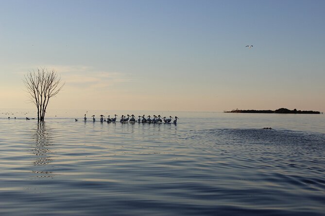 Strawberry Islands Scenic Boat Tour and Historic Cottage Row - Discover the Scenic Boat Tour of Fish Creek and Door County’s Historic Waterfront