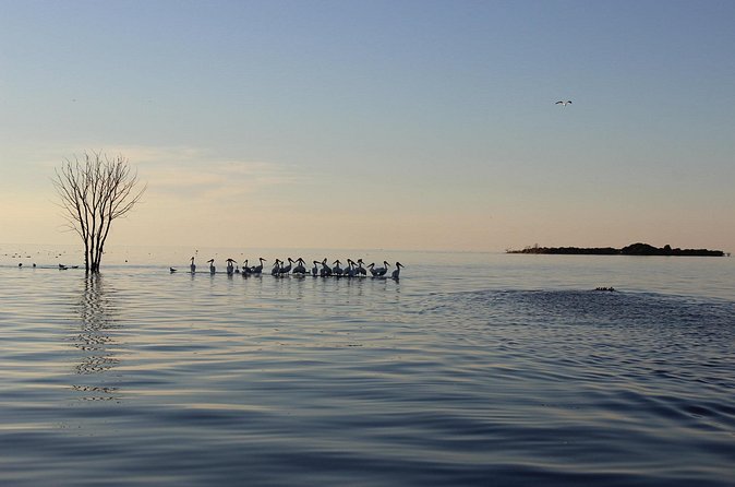 Strawberry Islands Scenic Boat Tour and Historic Cottage Row - Exploring Cottage Row in Fish Creek