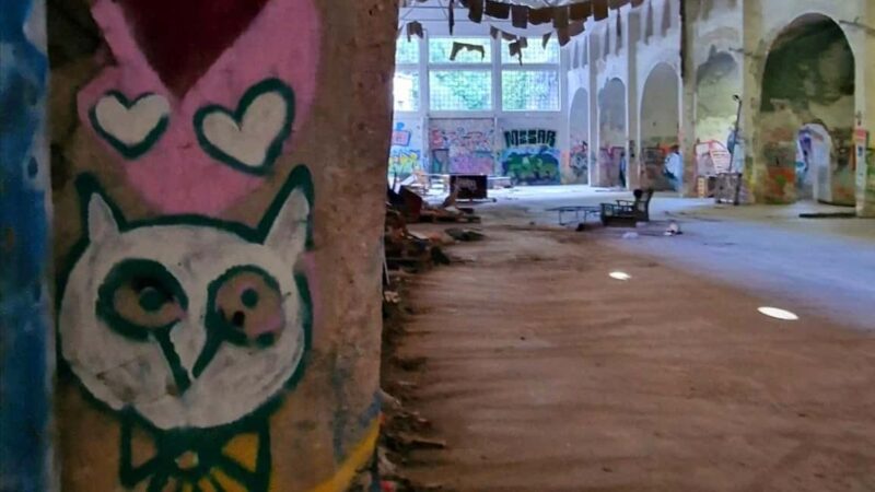 Street Art & Lost Place Tour in Rijeka - Physical Requirements and Accessibility