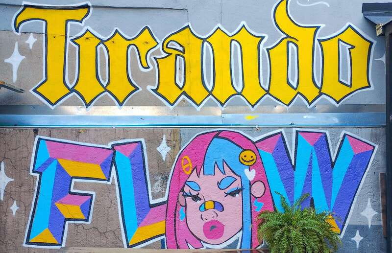 Street Art Tour: Downtown Mexico City - The Guide: A Born-and-Raised Local