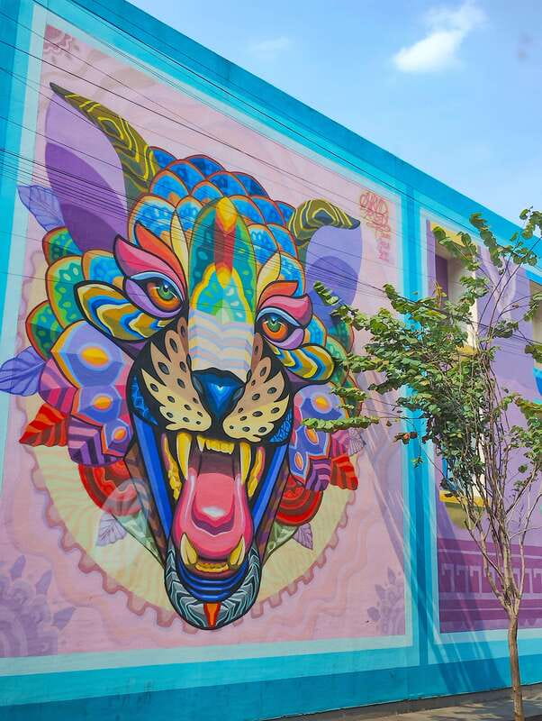 Street Art Tour: Downtown Mexico City - Who Would Enjoy This Tour Most?