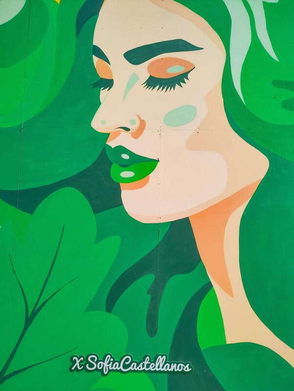 Street Art Tour: the Hidden Face of Mexico City - Frequently Asked Questions