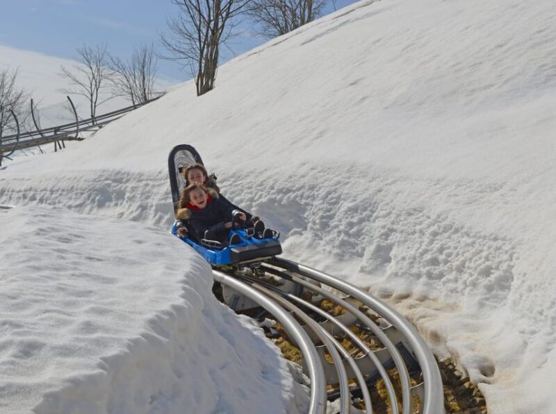 Stresa: Alpyland Alpine Coaster Ride on Mount Mottarone - Key Points