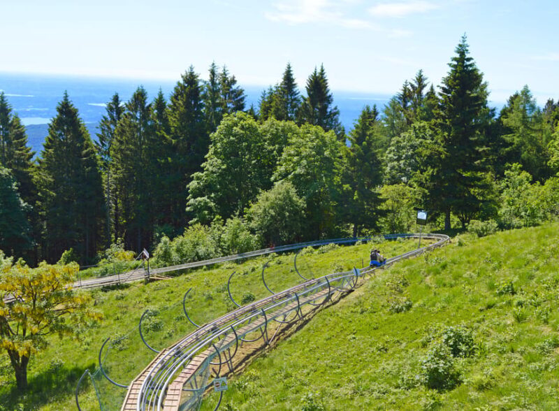 Stresa: Alpyland Alpine Coaster Ride on Mount Mottarone - The Experience for Families and Adventure Seekers