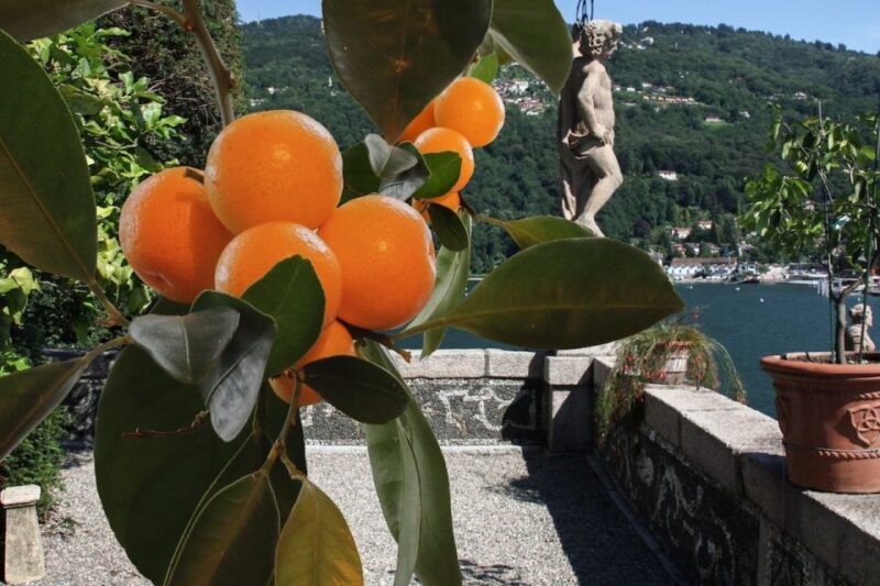Stresa: Isola Bella Hop-on Hop-off Boat Tour - Exploring the Fishing Village and Botanical Gardens