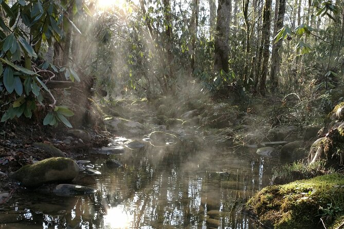 Stroll Back in Time Smokies History Streams and Forest Hike - The Experience of the Guides and Group Size