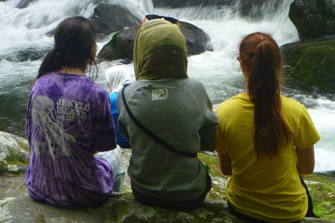 Stroll Back in Time Smokies History Streams and Forest Hike - Comparing This Tour with Similar Experiences