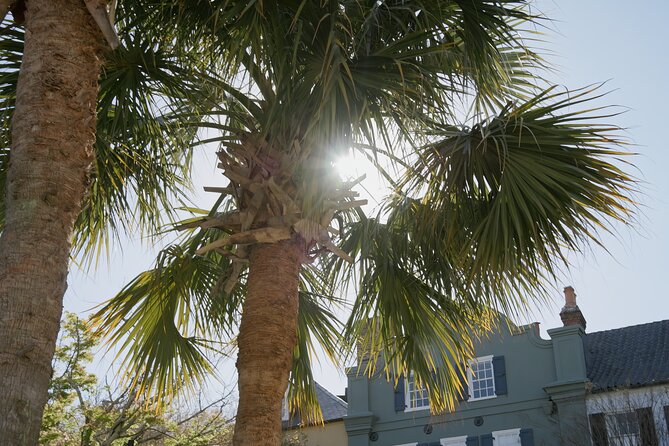 Stroll Historic South of Broad in Charlestons Walled City - Who Will Appreciate This Tour Most