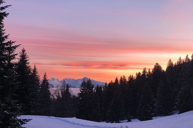 Stroll in the stars Private activity - Pacing and Group Size Considerations