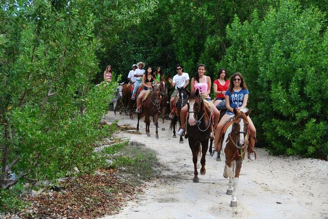 STROLL the Jungle Trails on a HORSE. Includes Transportation and Equipment. - Pickup and Transport from Cancun Hotels