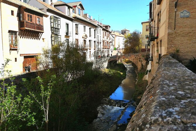 Stroll through Granada: historic center and Albayzín - Experience the Vibrant Atmosphere at Plaza Bib-Rambla