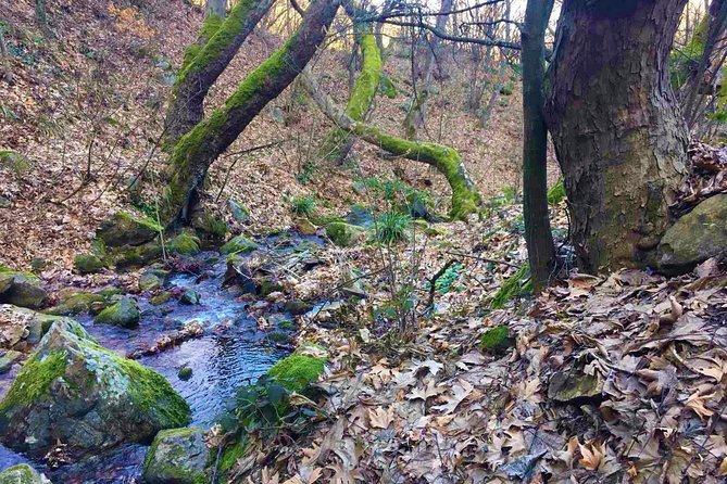 Strumica monasteries and waterfalls tour from Skopje - Discovering Veljusa Monastery and Its Frescos