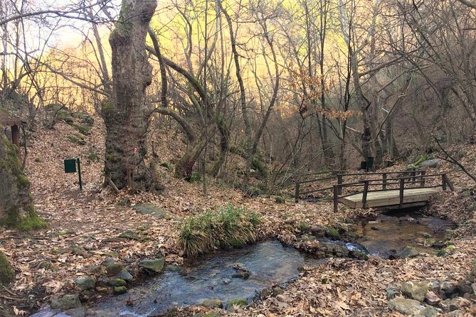 Strumica monasteries and waterfalls tour from Skopje - Scenic Walk to Kolesino Waterfall