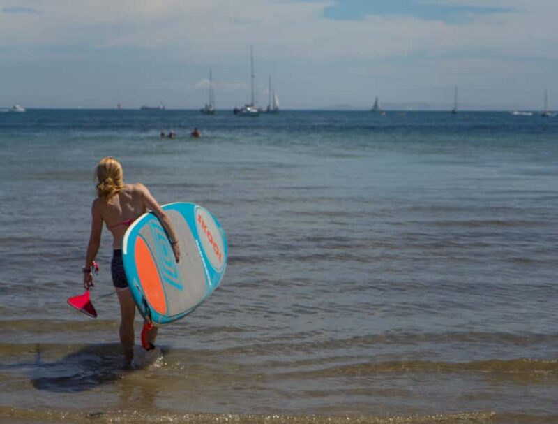 Studland Bay, Dorset: Paddleboarding Lesson - Encountering Marine Wildlife in Studland Bay