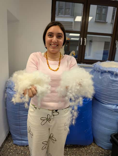 Stuff YOUR own pillow at Betten Huber in Augsburg - A Unique Hands-On Experience at Betten Huber in Augsburg