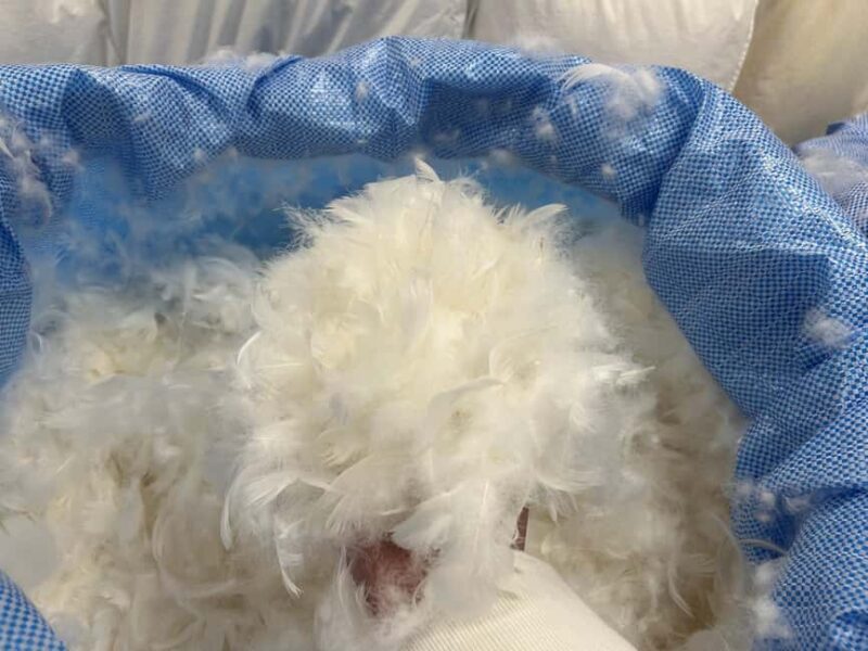 Stuff YOUR own pillow at Betten Huber in Augsburg - Filling Your Own 40x40 Pillow: A Creative and Sustainable Activity