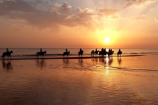Stunning Sundown Beach Ride ... on horseback! - Key Points