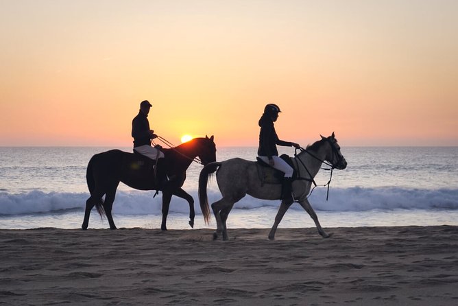 Stunning Sundown Beach Ride ... on horseback! - Experience for Beginners and Advanced Riders